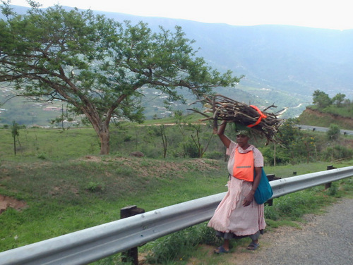 Lady carrying firewood.